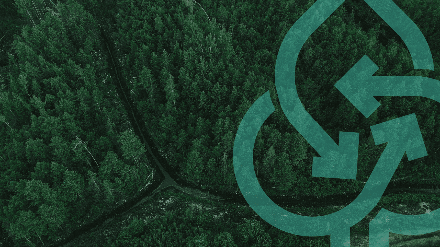 Aborgama Gesti贸n Ambiental